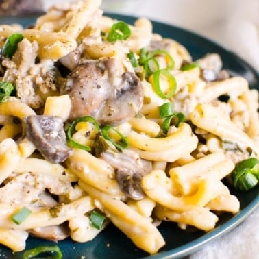 Instant Pot ground beef stroganoff on a plate with green onion.