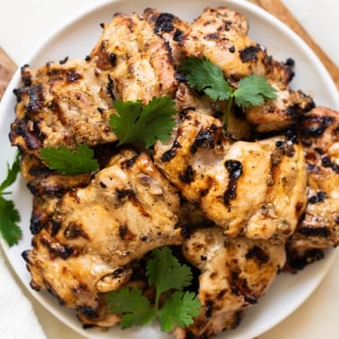 Grilled yogurt marinated chicken garnished with cilantro and served on a plate.
