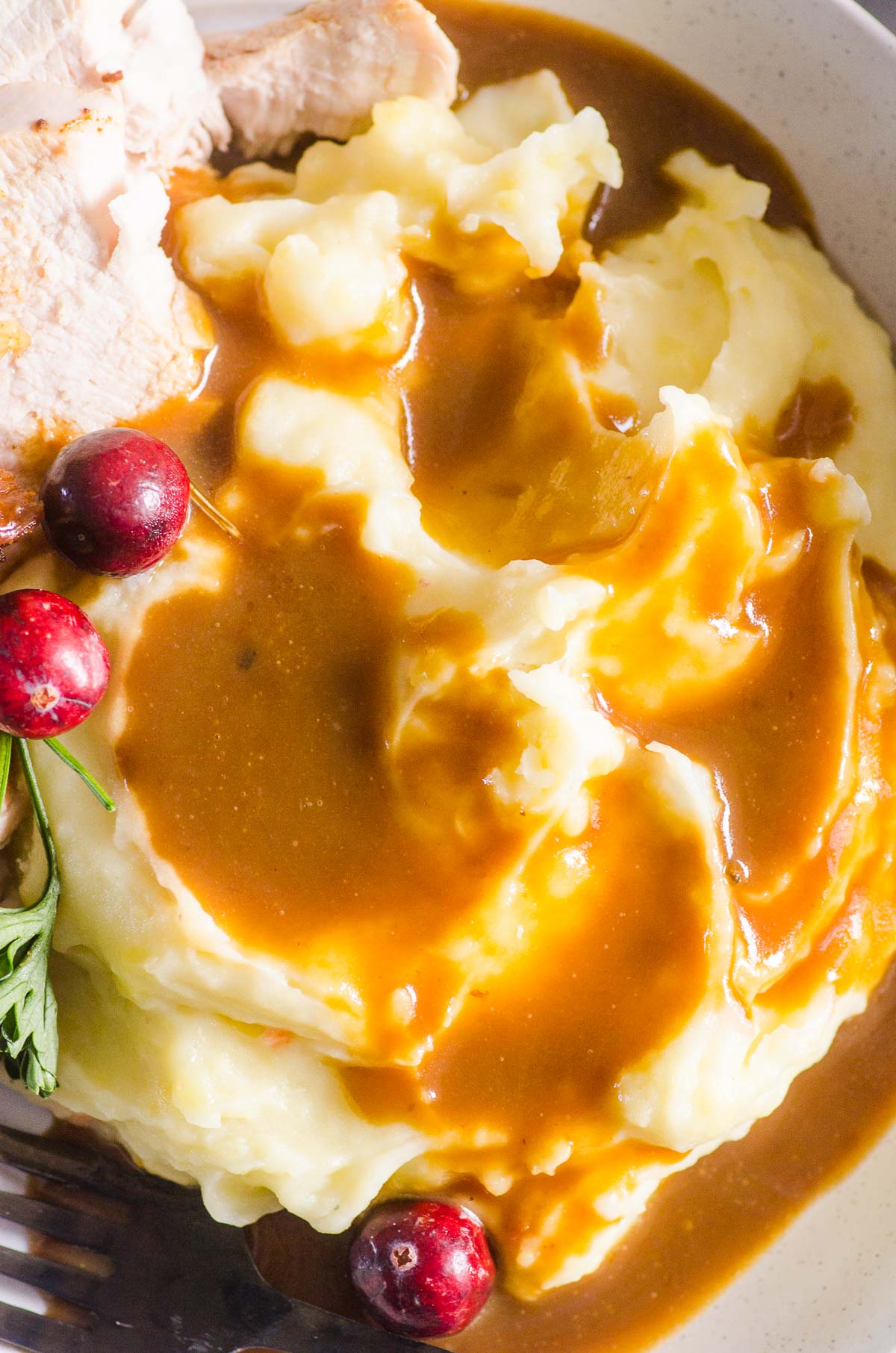 Closeup of turkey gravy over mashed potatoes and turkey with few cranberries on top.