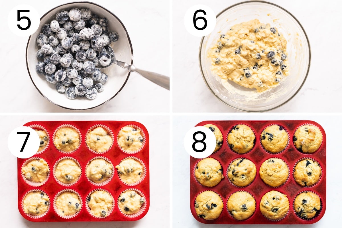Step by step process how to make lemon blueberry muffin batter and bake the muffins.