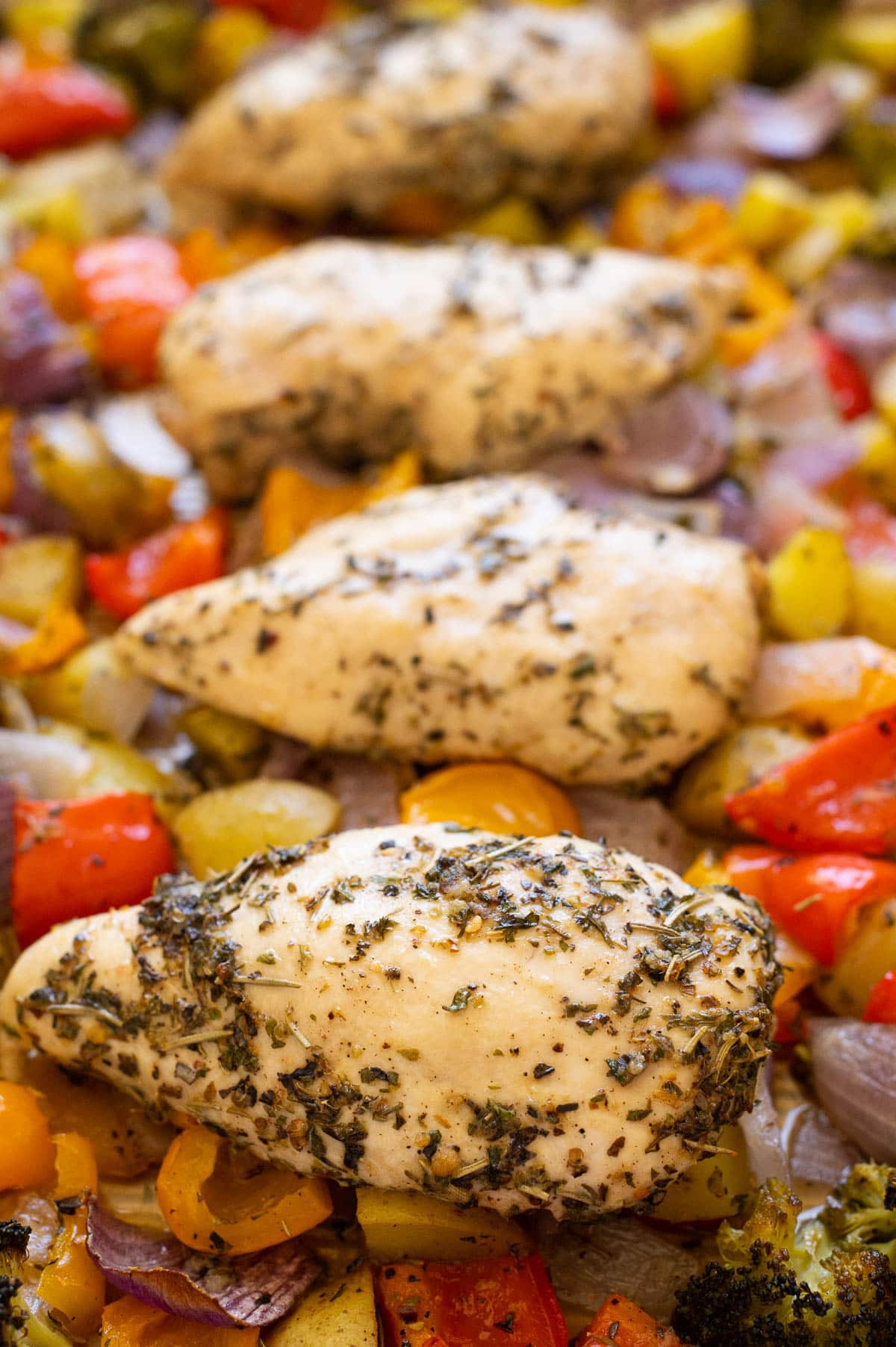 Close up side view of seasoned baked chicken breasts on top of roasted vegetables on a baking sheet.
