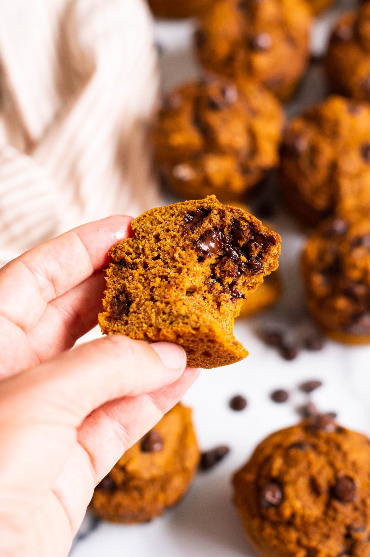 Person holding bitten pumpkin chocolate chip muffin showing texture and melted chocolate inside.